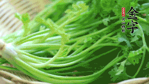 挑選鮮嫩的香菜，洗干凈后，處理成小段。