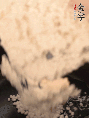 浸泡半天的糯米電飯鍋煮熟。